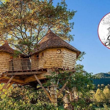 Saint-Die-des-Vosges Parthenope - Les Cabanes Du Chene Rouvre מראה חיצוני תמונה